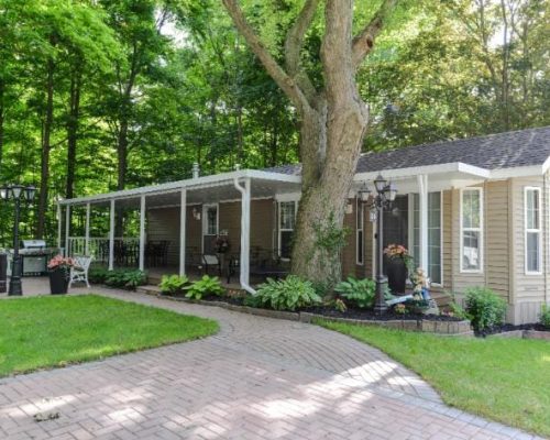solid-insulated-roof-patio-outdoor-green-scenery-garden-grey-bruce-patio